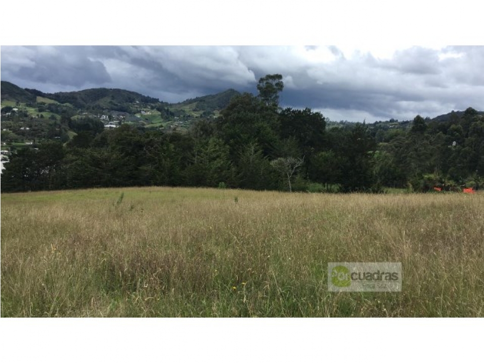 Venta lote en vía Llanogrande - La Ceja de 50.000 m² — foto 3