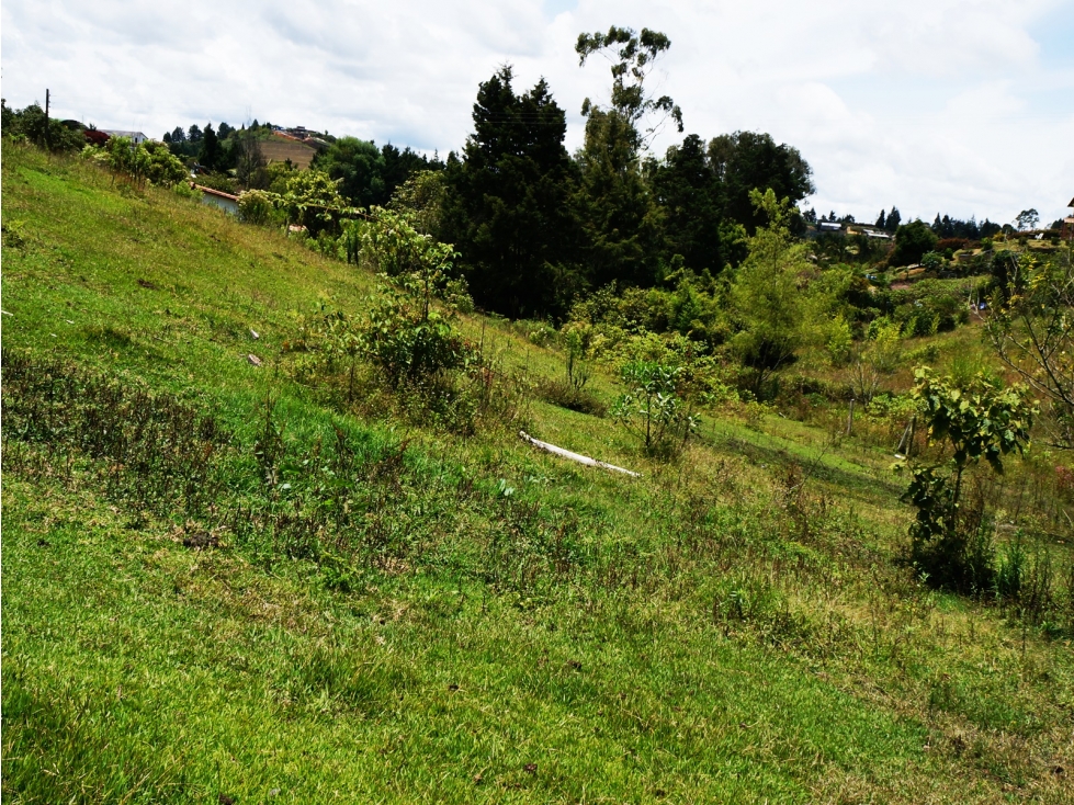 Venta lote vía Aeropuerto-Guarne para desarrollo — foto 3