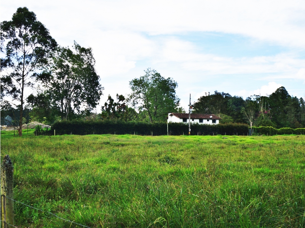 Venta lote en Llanogrande Rionegro de 7.500 m² cerca zona urbana — foto 3