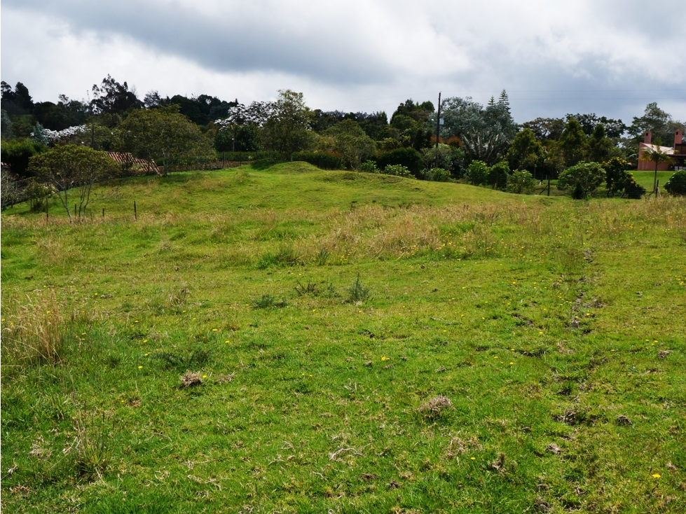 LOTE INDEPENDIENTE UBICADO EN LA VARIANTE DE PALMAS DE 3.500 M2 — foto 3