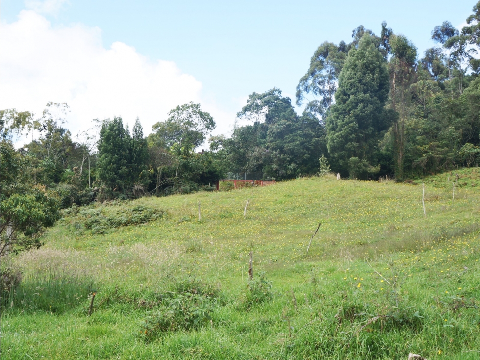 LOTE EN PARCELACION UBICADO POR LA VARIANTE LAS PALMAS DE 8.300M2 — foto 3