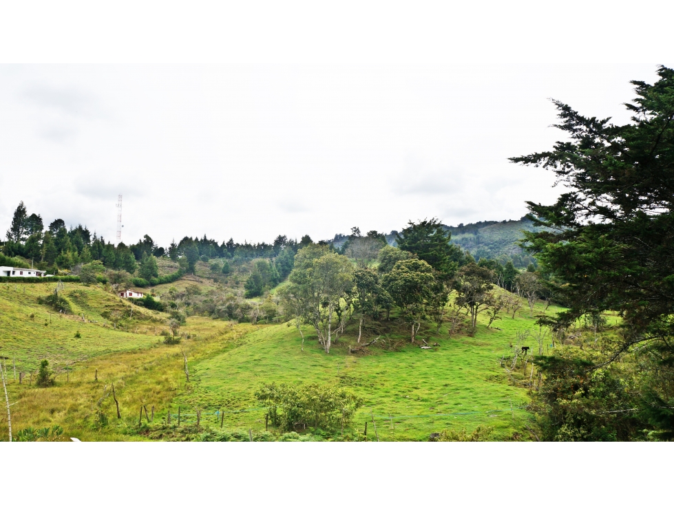 Venta de lote 32.000 m² con uso mixto en ubicación estratégica — foto 3