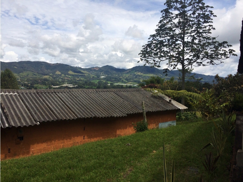 Venta lote en Rionegro vía San Antonio-La Ceja con 2 matrículas — foto 3