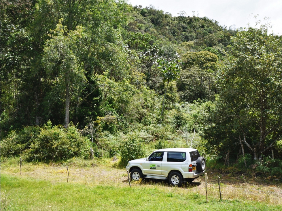 Venta lote vía Llanogrande - Don Diego con 4 subdivisiones — foto 3