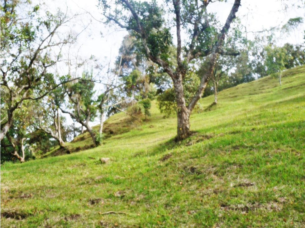 LOTE EN VENTA LAS PALMAS DE 3.600M2 — foto 3