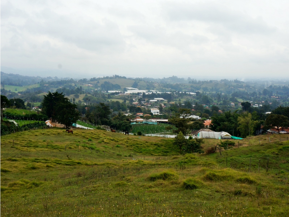 Venta lote en vía Llanogrande - La Ceja con 6 matrículas — foto 3