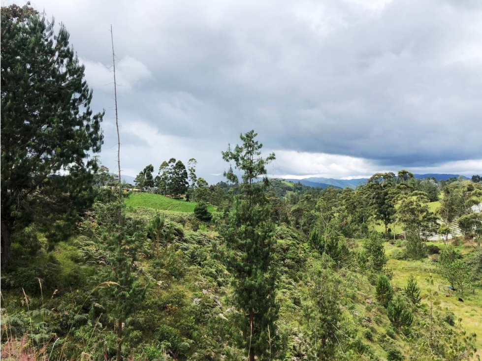 Lote campestre en venta en Pantanillo 6.200 m² con explanaciones — foto 3