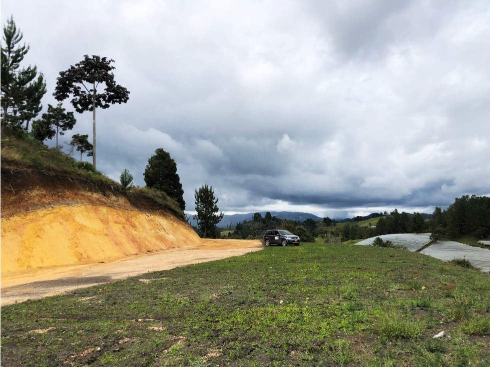 LOTE EN EL SECTOR DE PANTANILLO CON HERMOSA VISTA RODEADO DE BOSQUE — foto 3