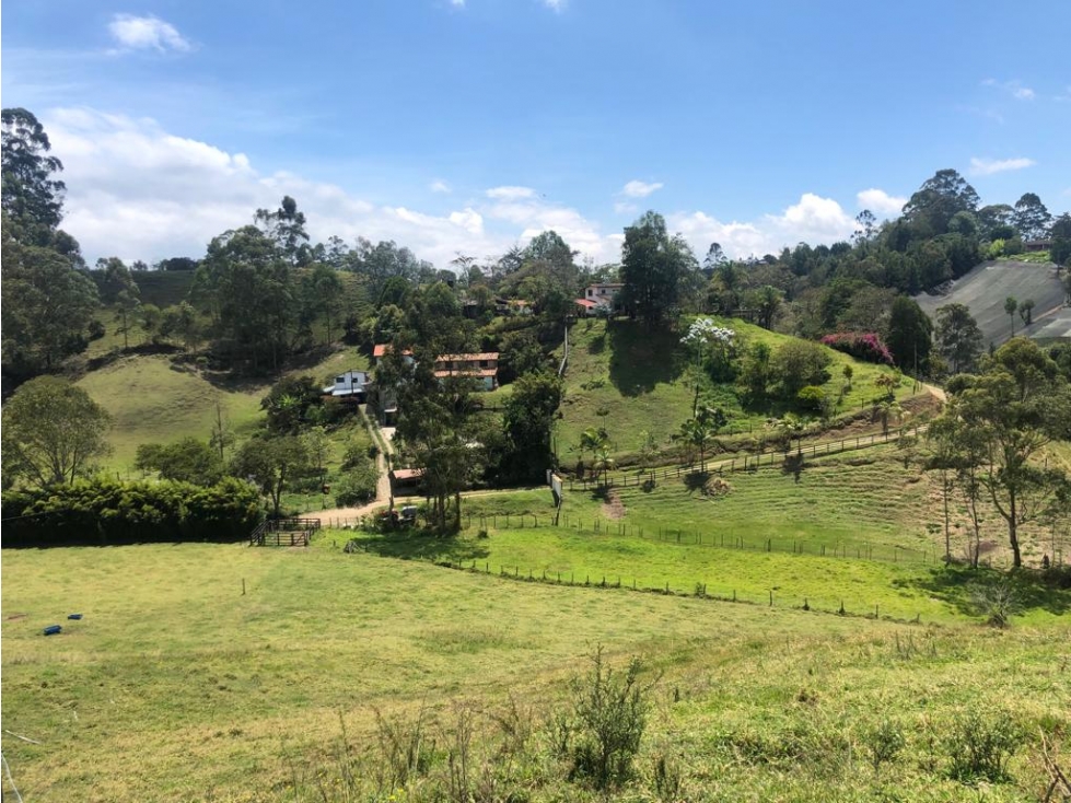 Venta lote en Rionegro con opción de parcelar en 9 unidades — foto 3