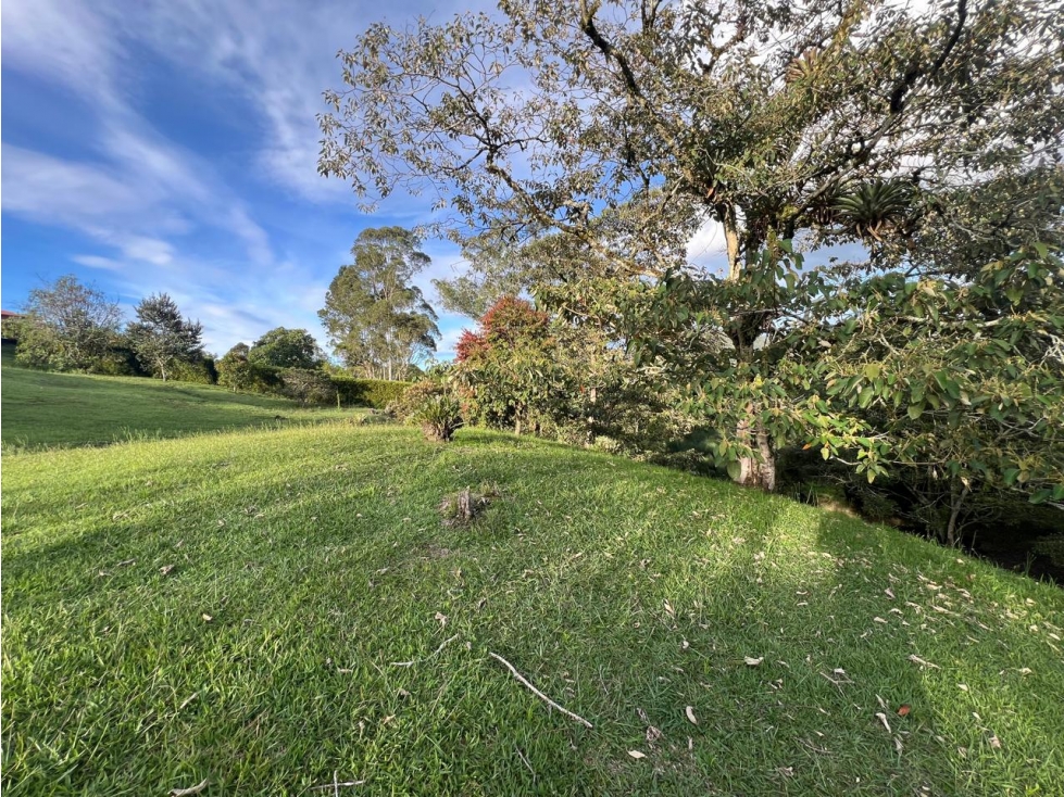 Venta lote vía San Antonio-La Ceja en parcelación, 3.000 m² — foto 5