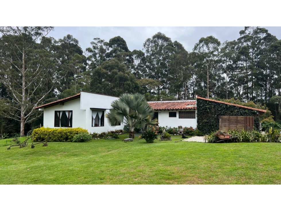Arriendo casa campestre de 1 nivel y 3 habitaciones, vía La Ceja - 1