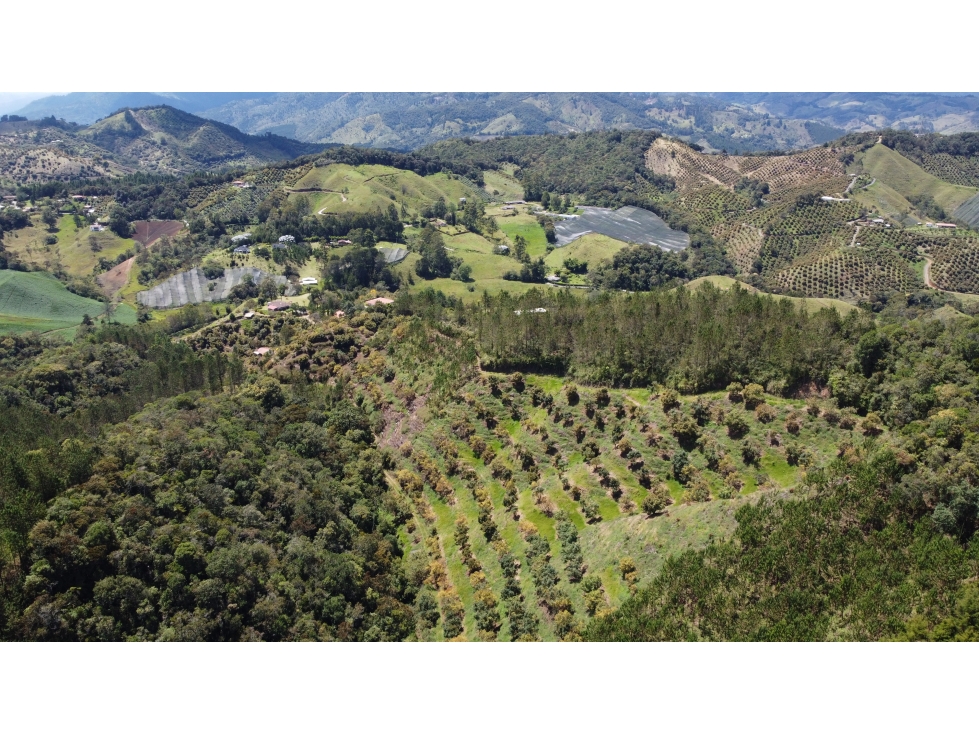 Venta casa campestre en El Retiro con 26 hectáreas