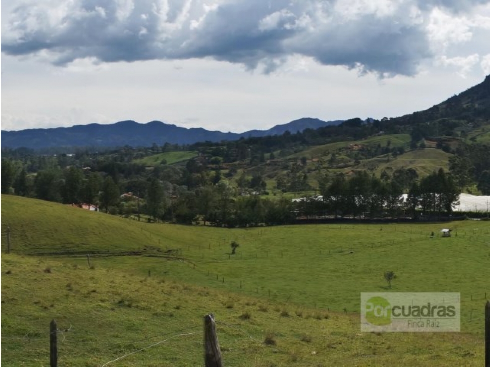 Venta Lote Uso mixto + 21,7 hectáreas + El Carmen sobre vía principal. — foto 4
