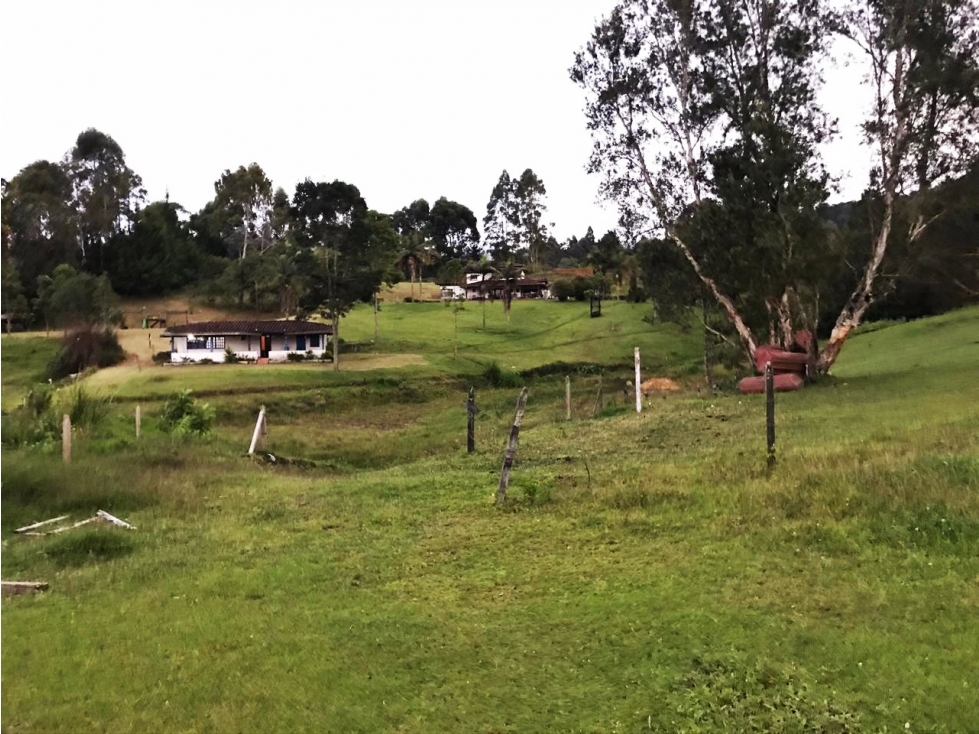 Venta lote con casa campestre en El Tablazo para desarrollo — foto 5