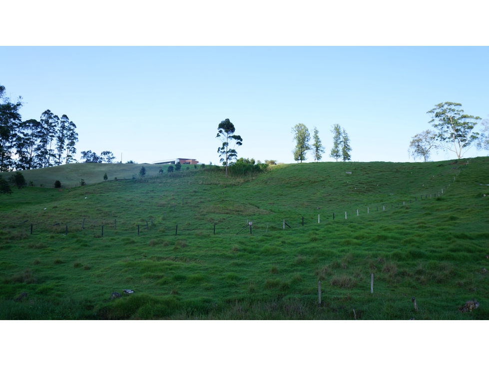 Venta lote en Pontezuela en unidad cerrada con opción de subdivisión — foto 3