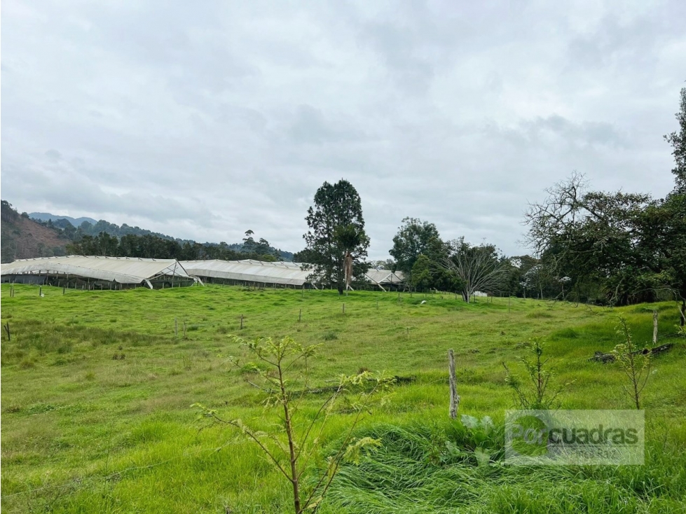 Venta | Terreno 52.400 m² en Llanogrande ideal para inversionistas — foto 4