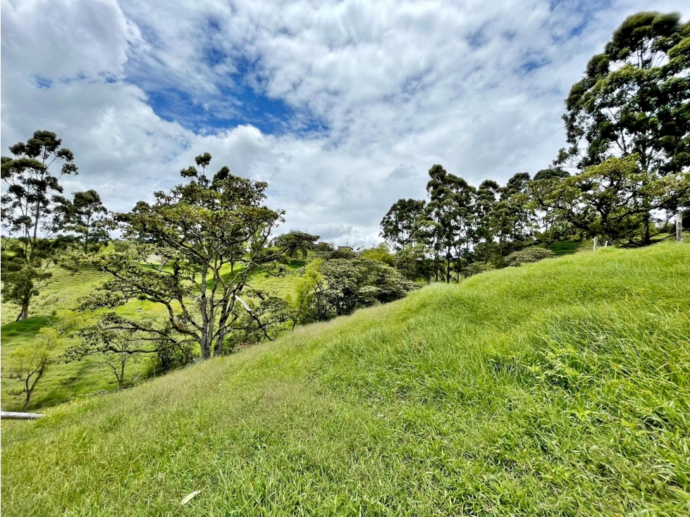Venta lote vía Rionegro El Carmen para parcelación