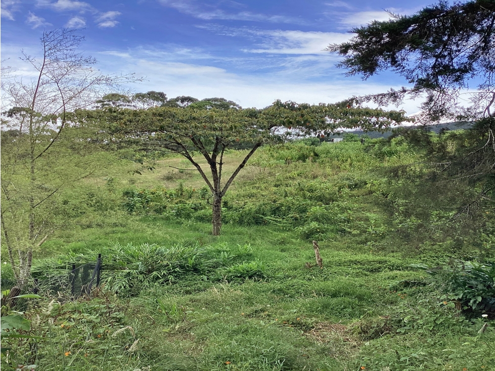 Venta lote de uso mixto en El Carmen de Viboral — foto 4