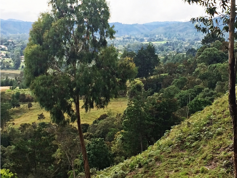 Venta lote en El Retiro sector La Fe con vista a la represa — foto 4