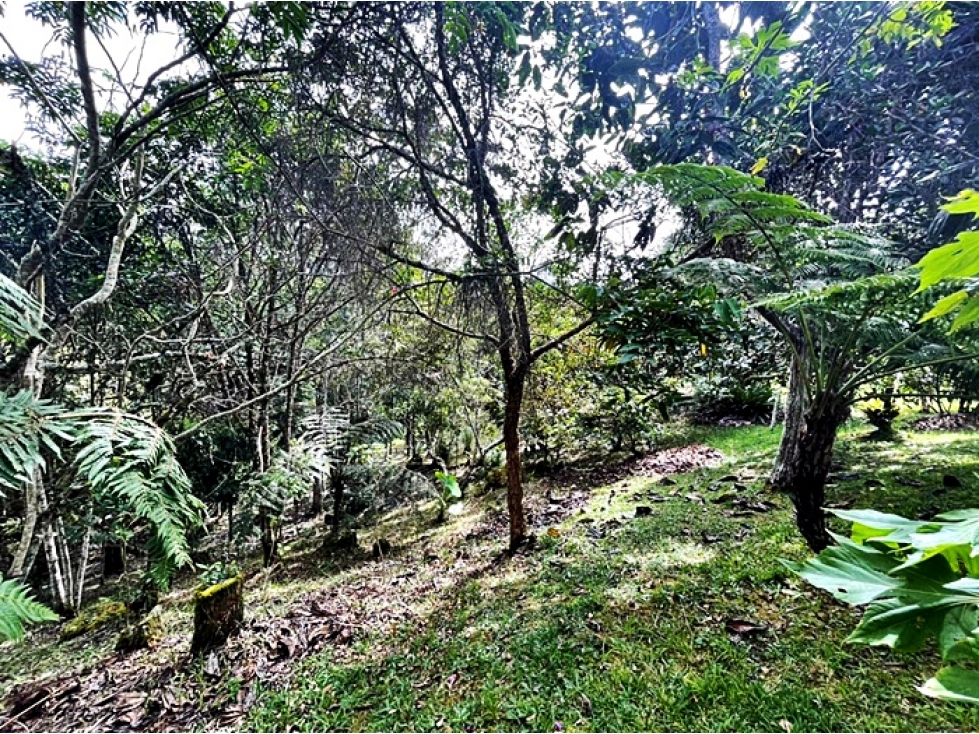 Venta lote 30.000 m² Envigado, ubicación estratégica Las Palmas — foto 4