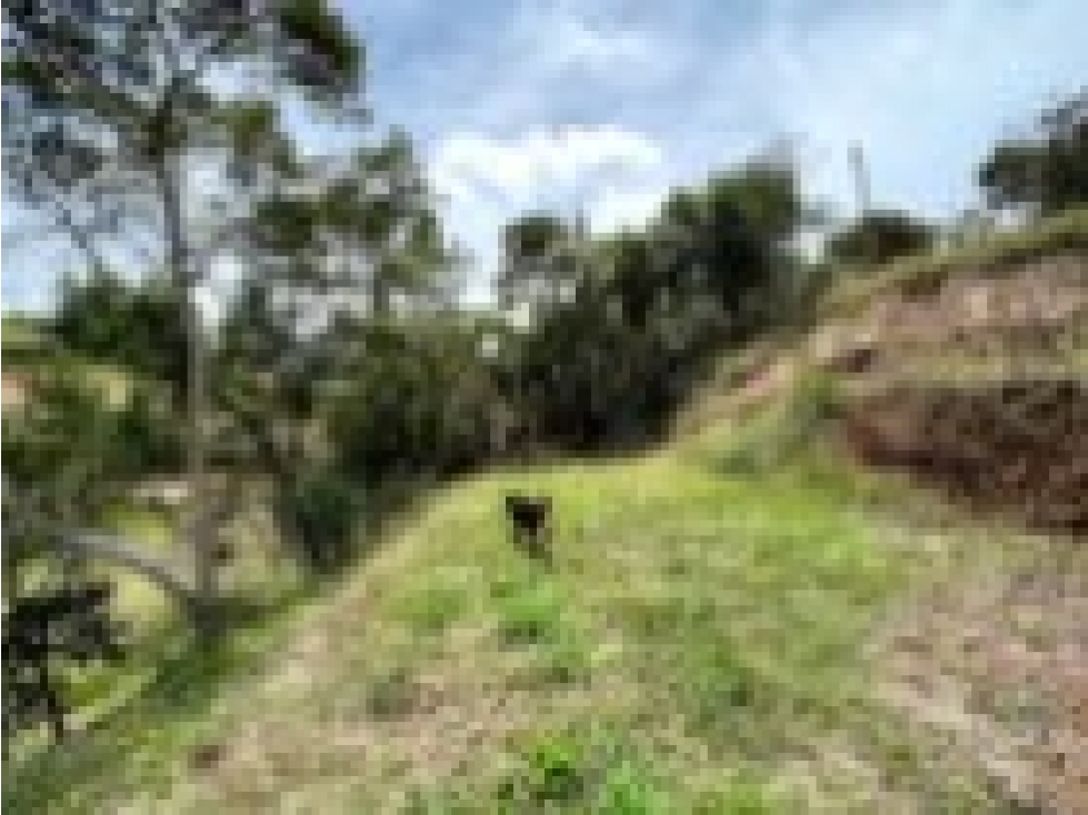 CASA CAMPESTRE EN GUARNE — foto 6