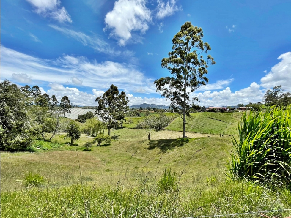 Venta lote en vía Rionegro - El Carmen con nacimientos de agua — foto 5