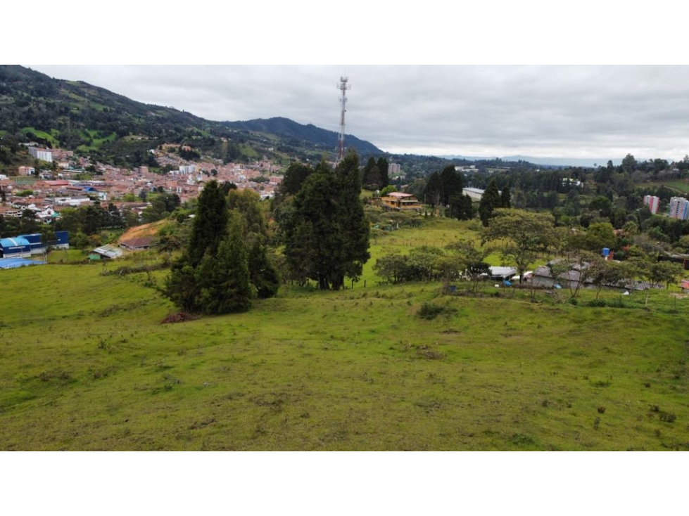 Venta lote 21.000 m² cerca autopista Medellín Bogotá — foto 5