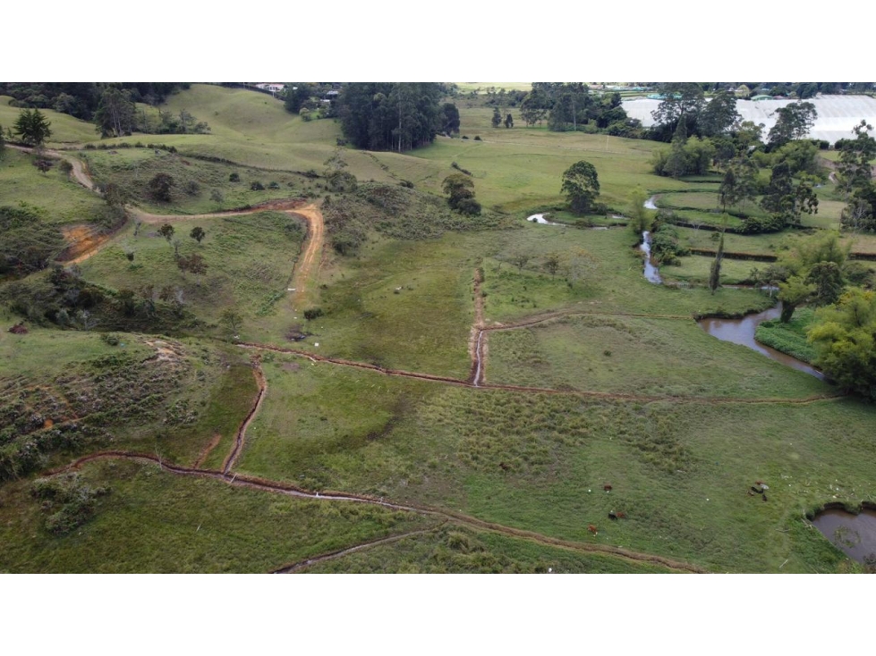 Venta lote en El Capiro de 110.714 m² con 4 matrículas — foto 4