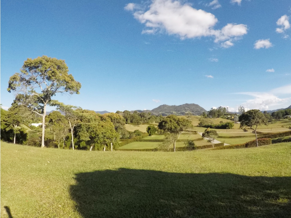 Venta lote en Llanogrande de 2.500 m² en unidad cerrada — foto 4