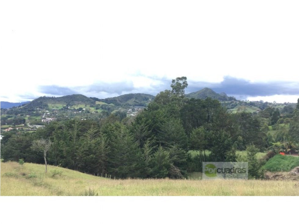 Venta lote en vía Llanogrande - La Ceja de 50.000 m² — foto 4
