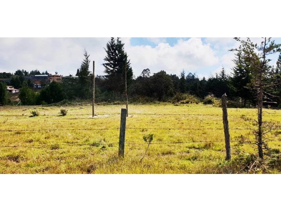 Venta lote en La Mosquita Rionegro con uso comercial e industrial — foto 3