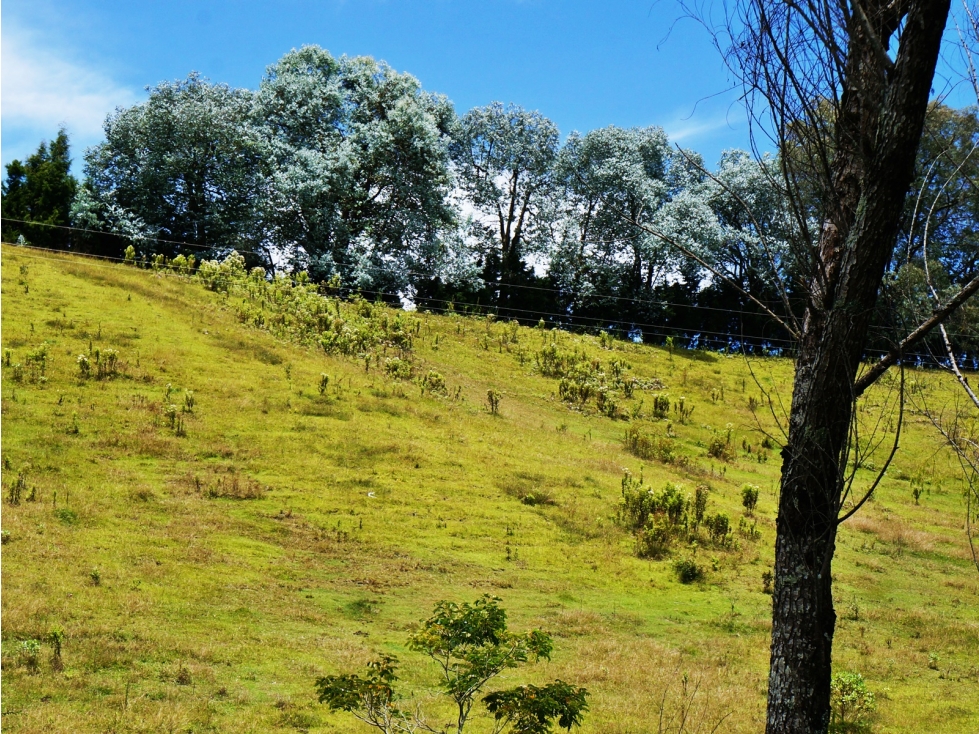 Venta lote vía Aeropuerto-Guarne para desarrollo — foto 6