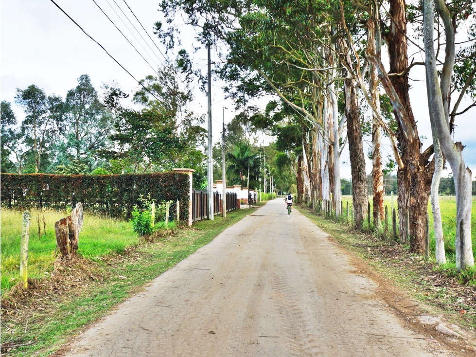 Venta lote en Llanogrande Rionegro de 7.500 m² cerca zona urbana — foto 4