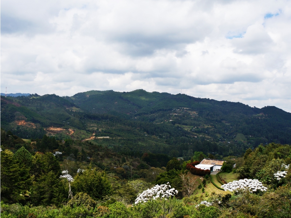 Lote en venta sector Eafit Llanogrande Rionegro. En parcelación — foto 3