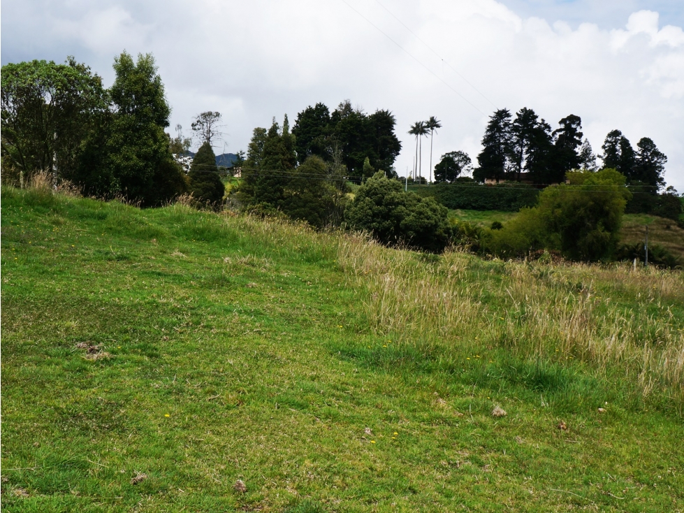 LOTE INDEPENDIENTE UBICADO EN LA VARIANTE DE PALMAS DE 3.500 M2 — foto 4