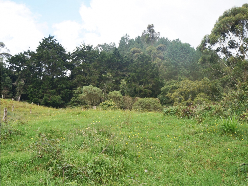 LOTE EN PARCELACION UBICADO POR LA VARIANTE LAS PALMAS DE 8.300M2 — foto 4