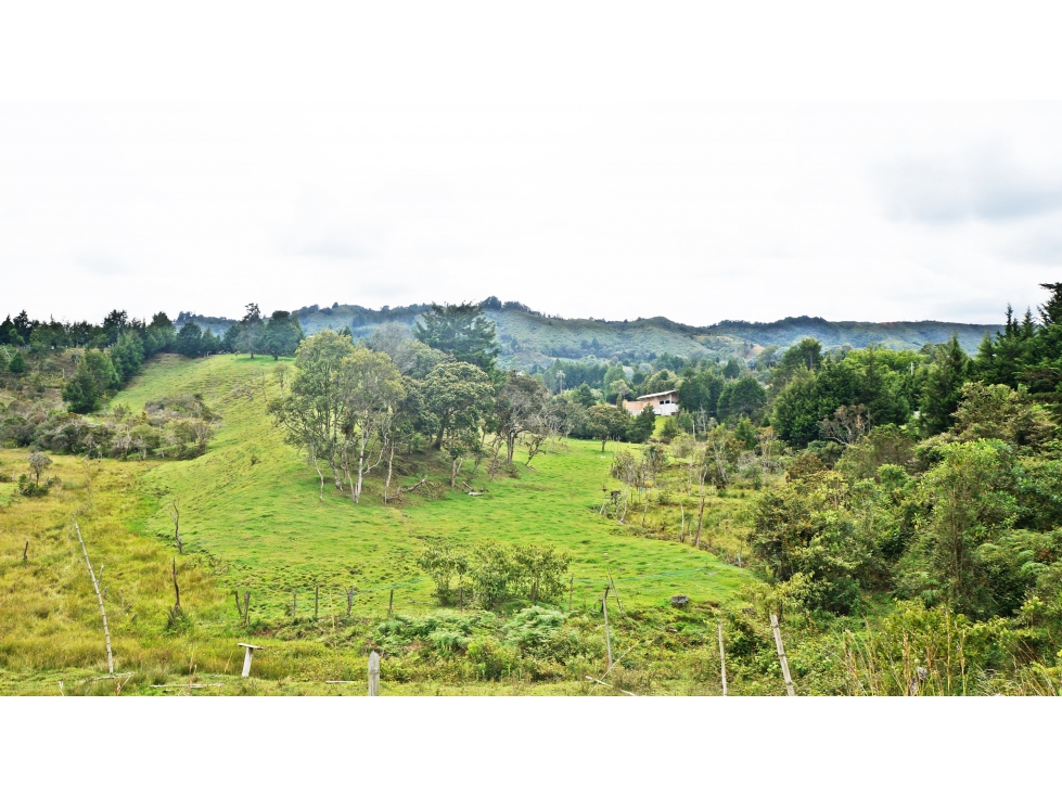 Venta de lote 32.000 m² con uso mixto en ubicación estratégica — foto 4