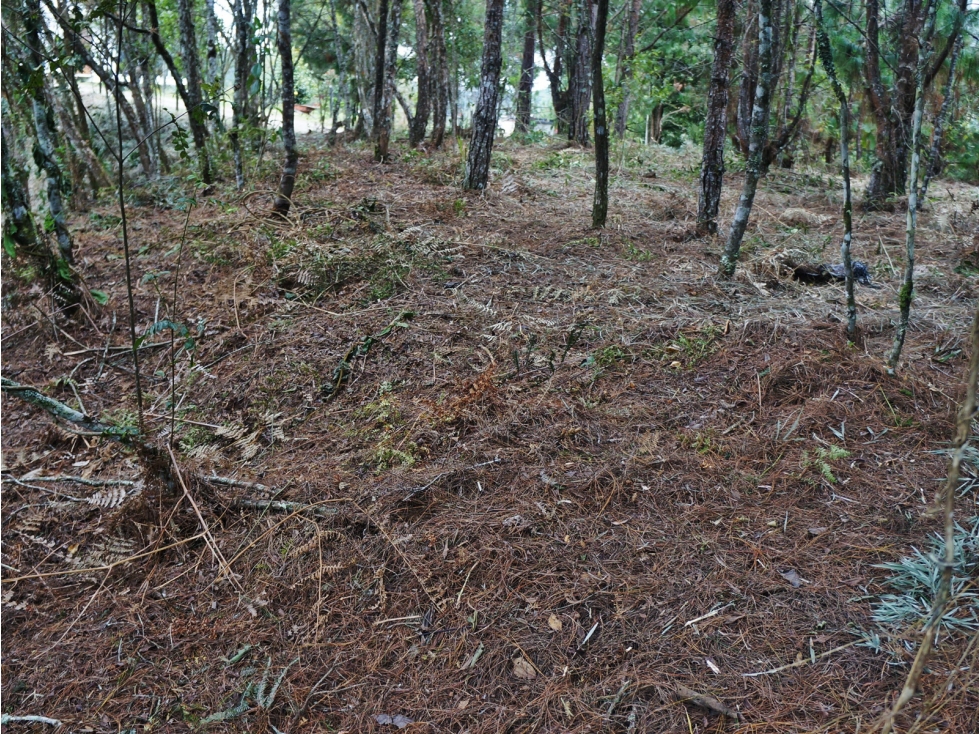 Venta lote en unidad cerrada con bosque nativo y cascadas — foto 4