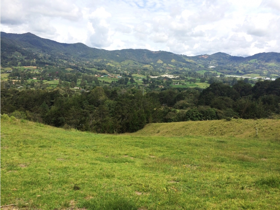 Venta lote en Rionegro vía San Antonio-La Ceja con 2 matrículas — foto 4