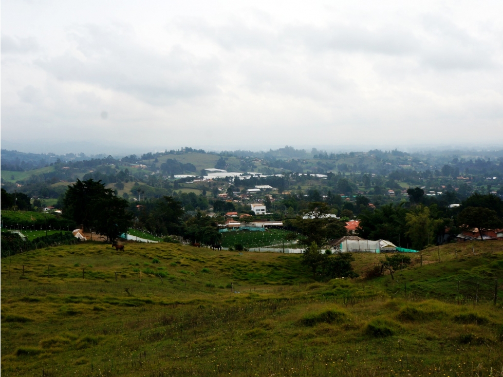 Venta lote en vía Llanogrande - La Ceja con 6 matrículas — foto 4