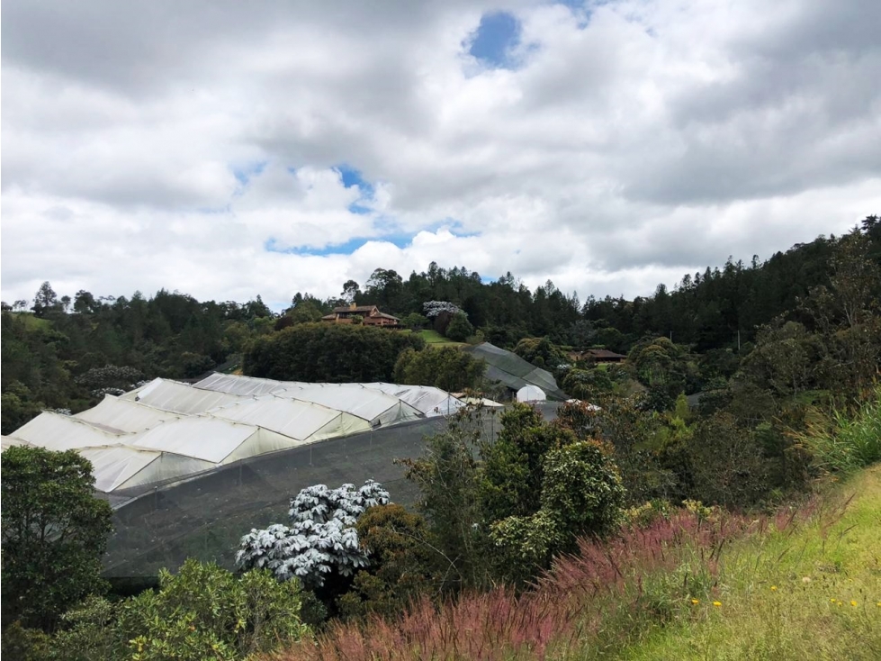 LOTE EN EL SECTOR DE PANTANILLO CON HERMOSA VISTA RODEADO DE BOSQUE — foto 4