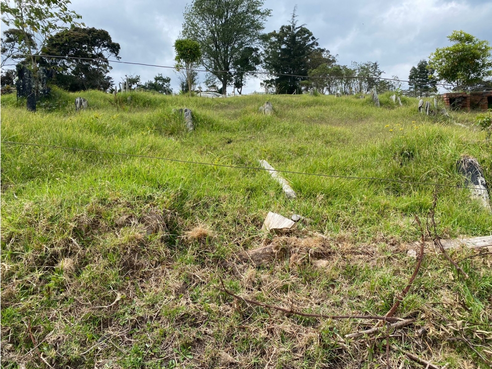 Venta lote en Pontezuela Higuerón Rionegro — foto 4