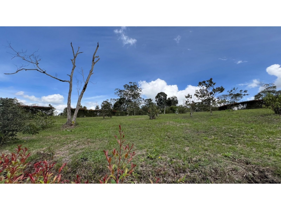 VENTA DE LOTES DESDE 2.100 M² UBICADOS POR RECINTO QUIRAMA, RIONEGRO — foto 5