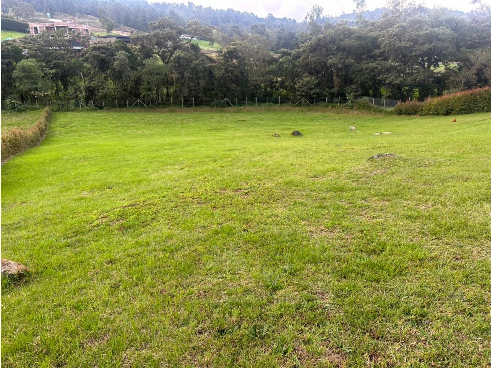 Venta de lote en exclusiva Parcelación del Alto de Palmas — foto 4