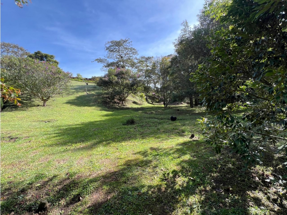 Venta lote vía San Antonio-La Ceja en parcelación, 3.000 m² — foto 6