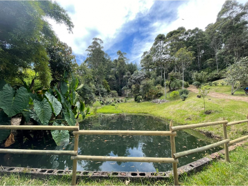Venta lote 14.650 m² con lago y bosque en El Yarumo — foto 4