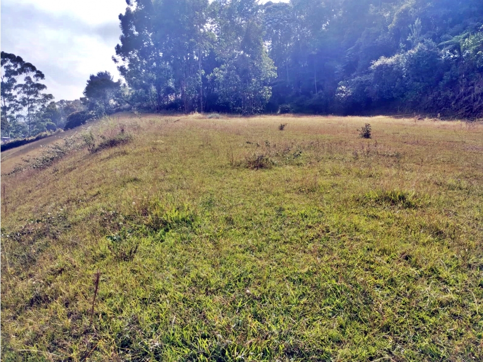 Venta lote en Llanogrande vereda Guayabito con excelente vista — foto 3