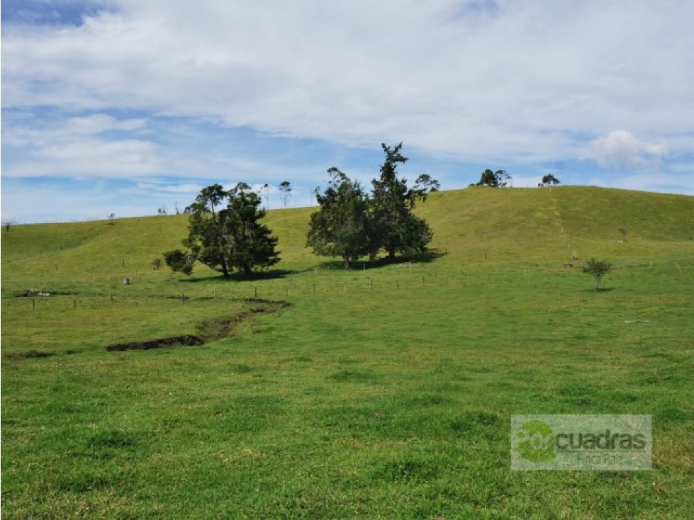 Venta Lote Uso mixto + 21,7 hectáreas + El Carmen sobre vía principal. — foto 5