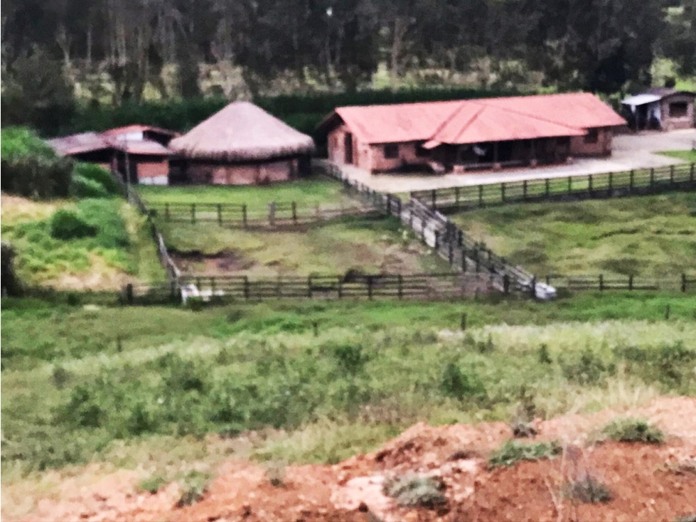 Venta lote con casa campestre en El Tablazo para desarrollo — foto 6