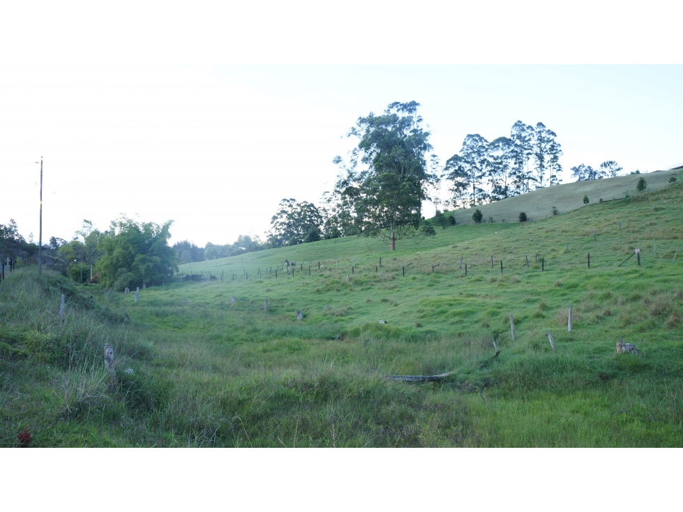 Venta lote en Pontezuela en unidad cerrada con opción de subdivisión — foto 4